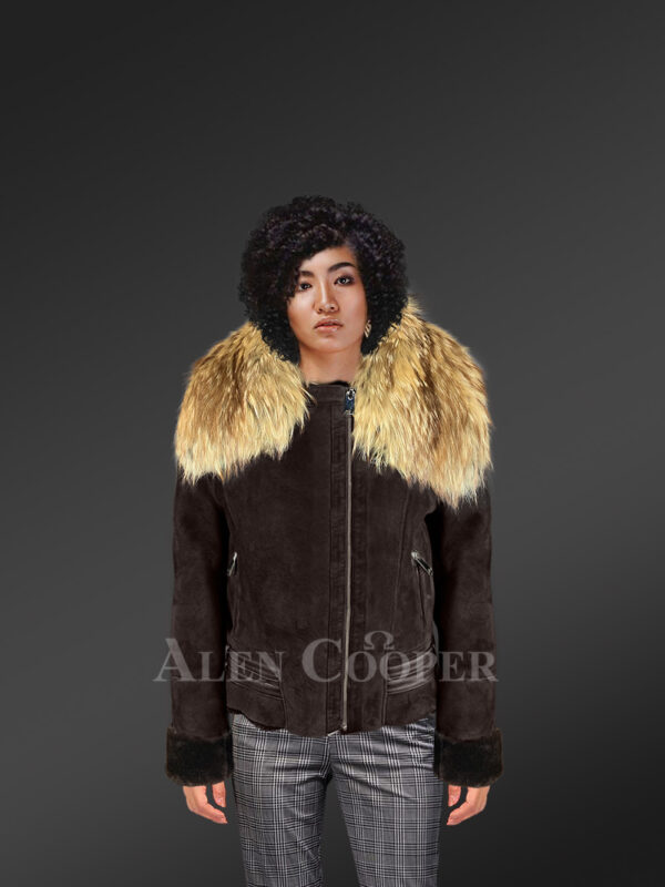 Real shearling jacket with stylish raccoon fur collar With Model