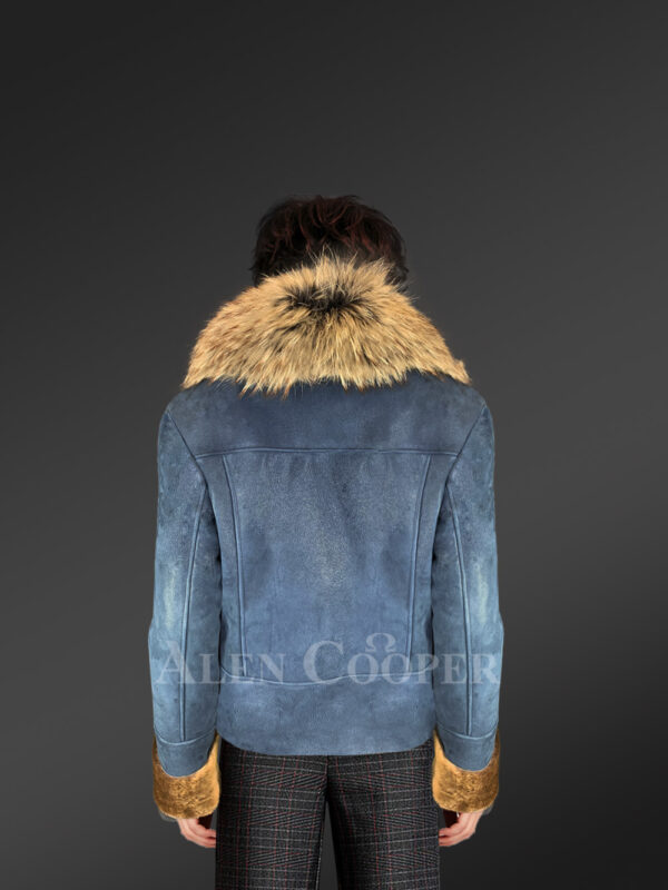 Women’s Merino Shearling Motorcycle Biker Jacket with Detachable Raccoon Fur Collar in with model back side view