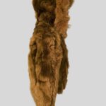 Double tone whisky color real rabbit fur outerwear Backside view