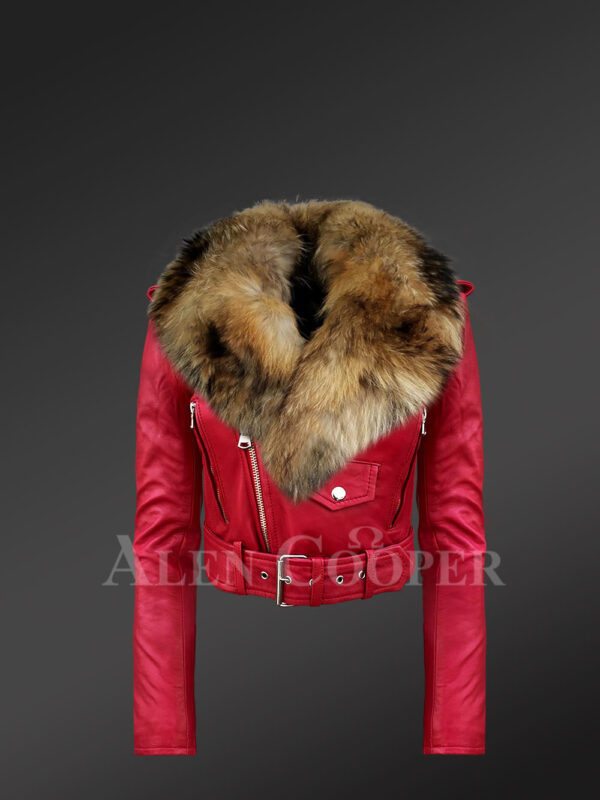 Women's Short Length Moto Jacket With Fur in Burnt Red New