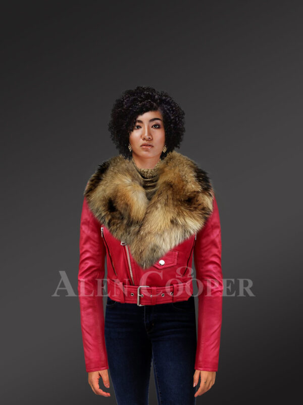 Women's Short Length Moto Jacket With Fur in Burnt Red New with Model