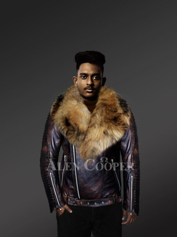Coffee leather jackets with raccoon fur collar and stylish belt With Model