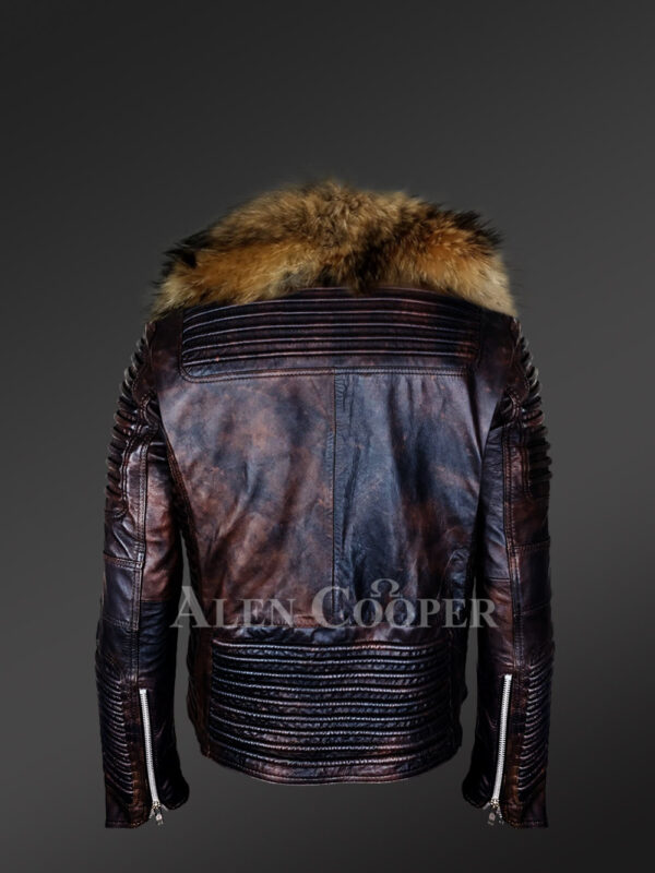 Coffee leather jackets with raccoon fur collar and stylish belt back side view