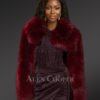 Women’s Trendy Short Bolero Jacket
